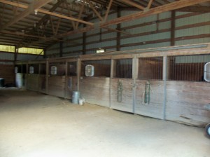 Horse Trainers in Missouri - Nick's Property Horse Trainers in Missouri - Nick Ivanovich